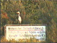 Fischreiher auf dem Schild (Vorsicht Schußwaffengebrauch) Wilhelmshaven ist schließlich eine Marinestadt